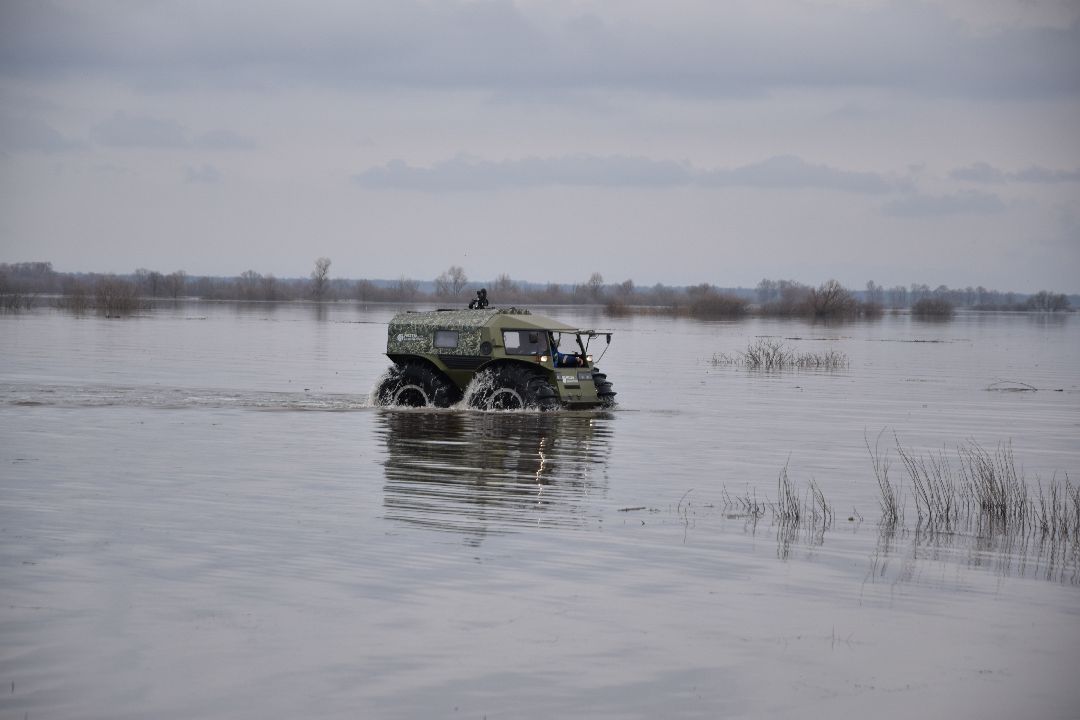 Россети, Луховицы, паводок