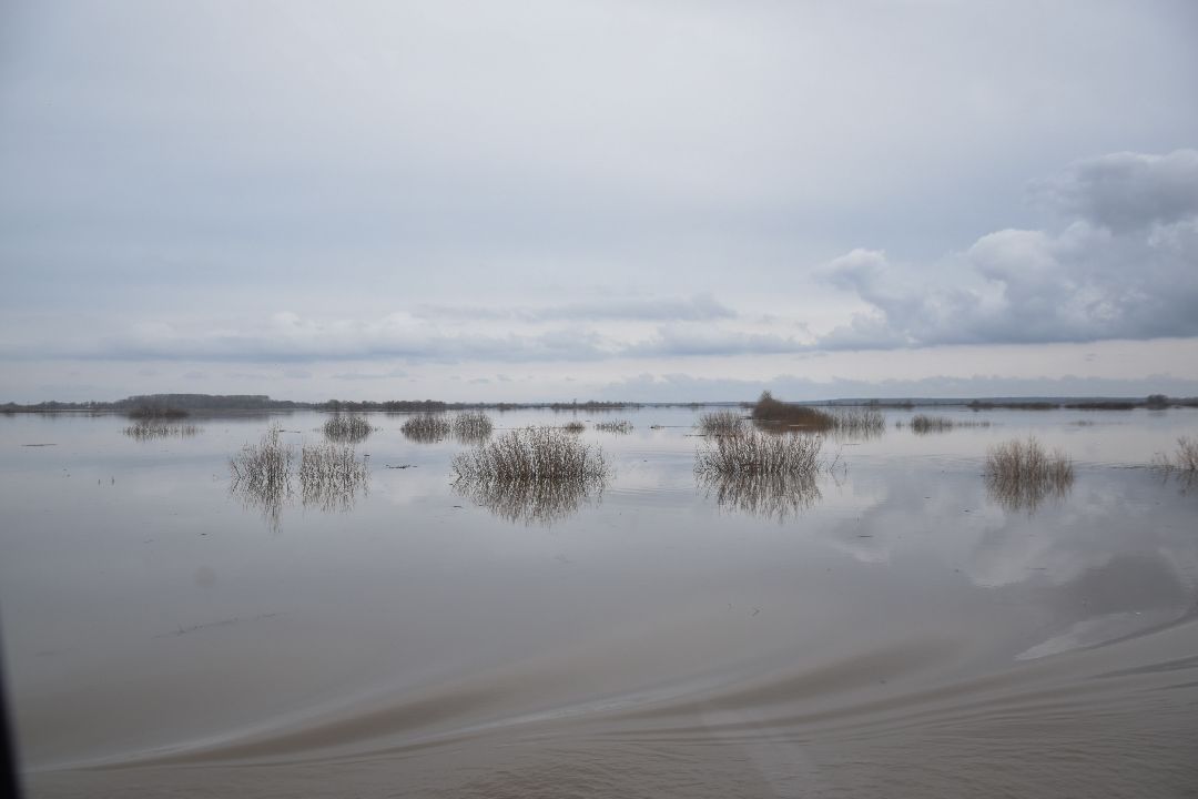 Россети, Луховицы, паводок
