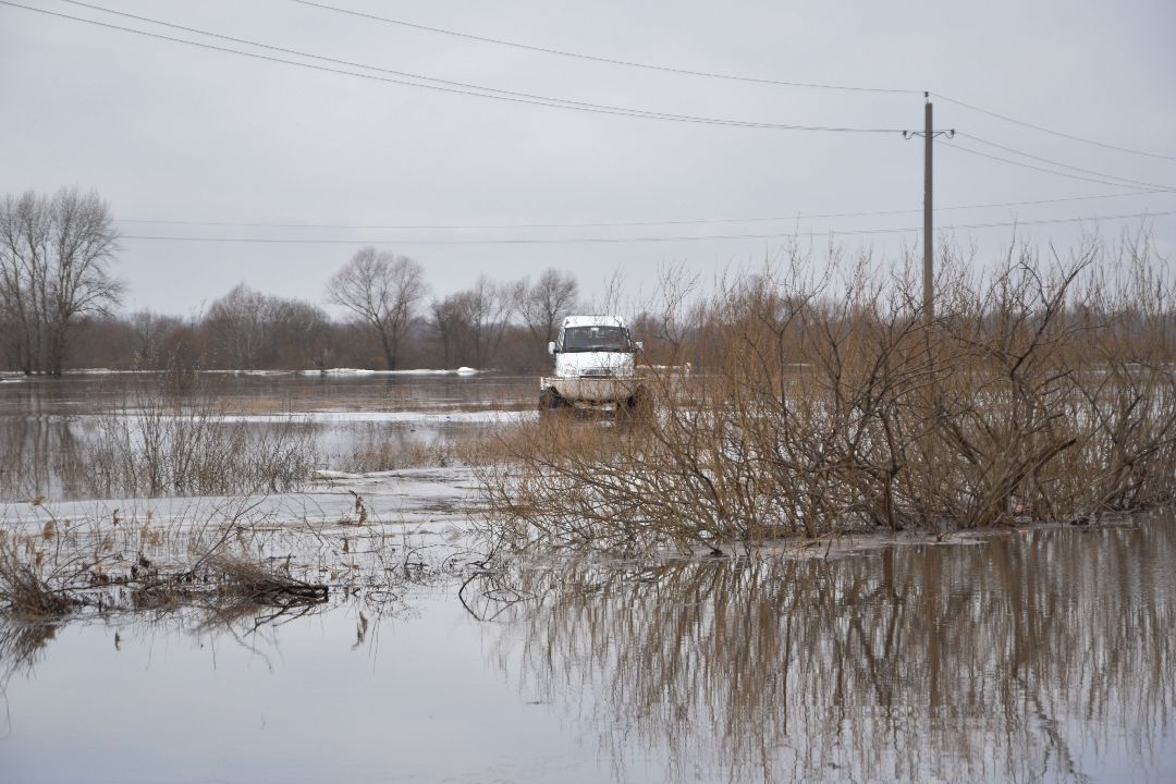 Россети, Луховицы, паводок