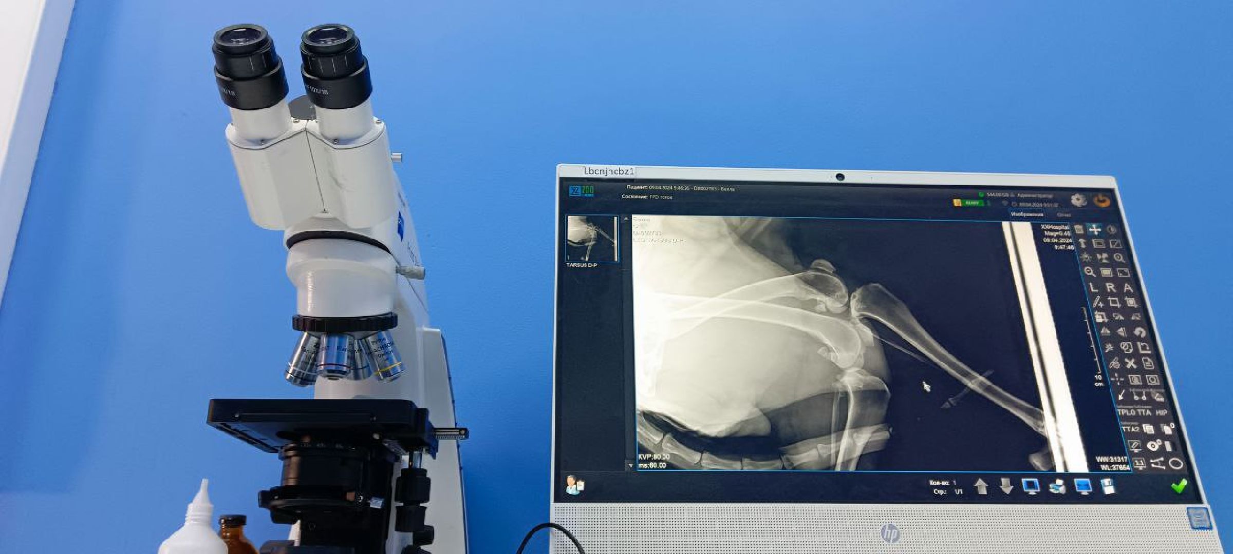 Дмитров, Госветстанция,