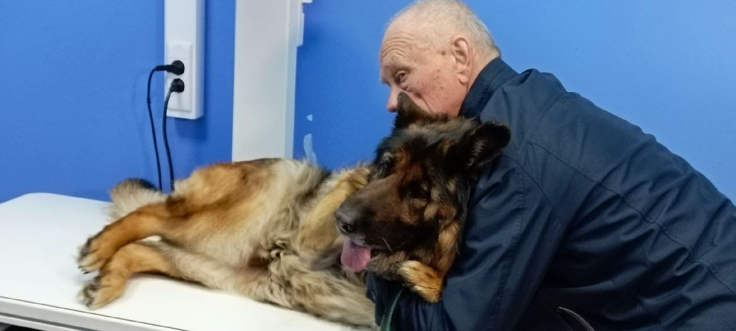 Дмитров, Госветстанция,