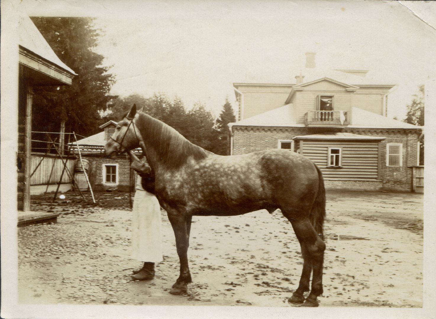 пушкино, историческое здание, реконструкция здания, история, строительство,