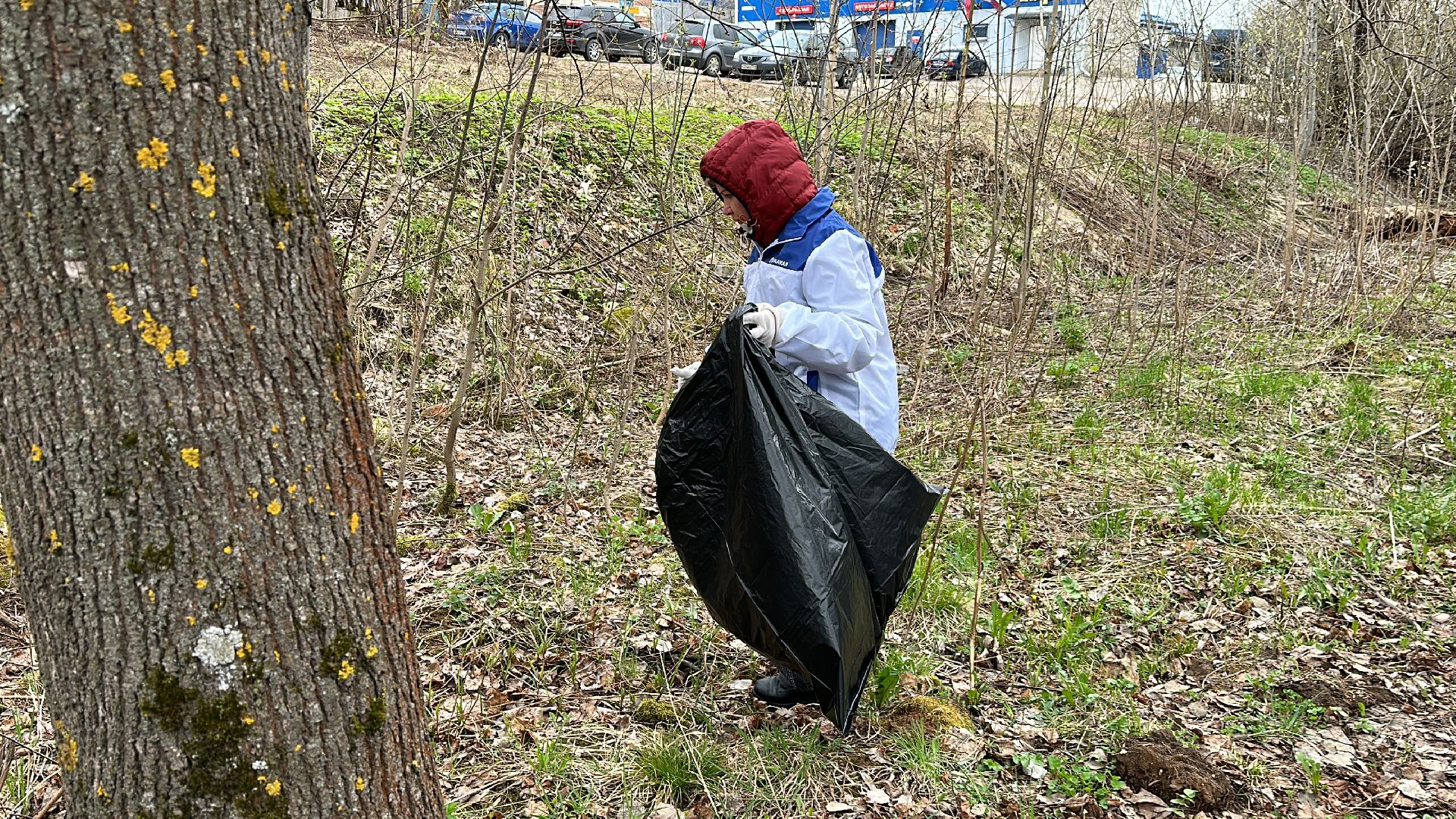Клин, общество, ЖКХ, благоустройство, субботники,