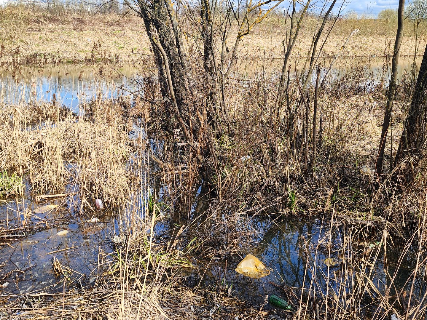 субботник, Воды России, волонеры,