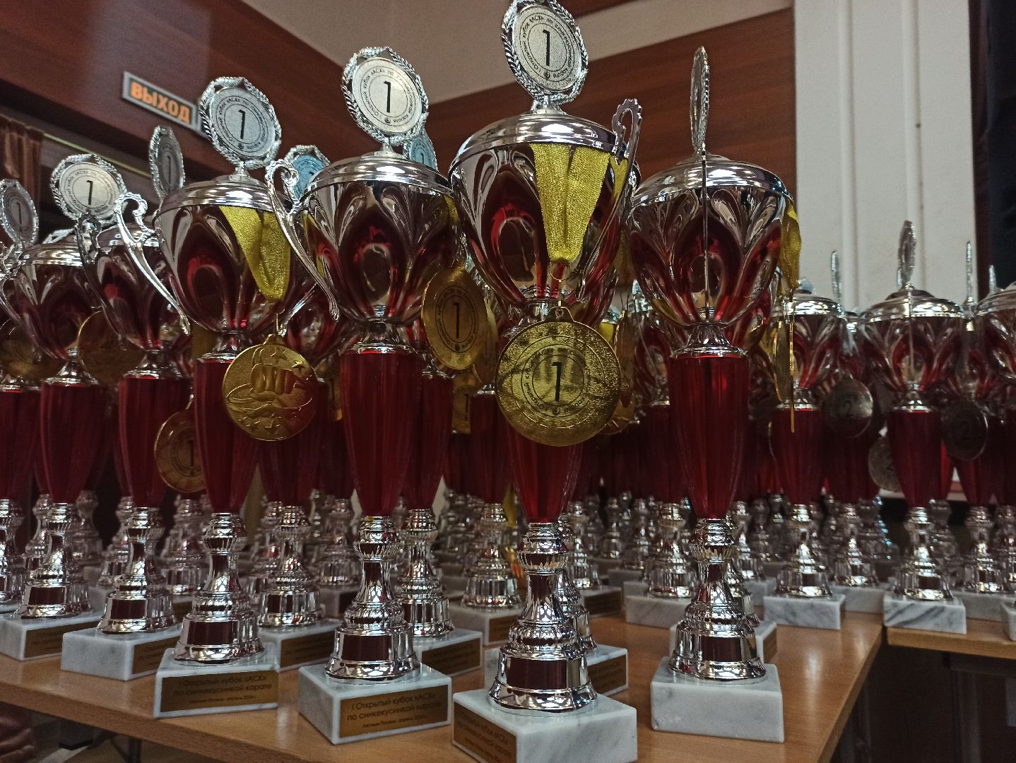 пушкино, карате, дети, призеры, спорт в подмосковье,