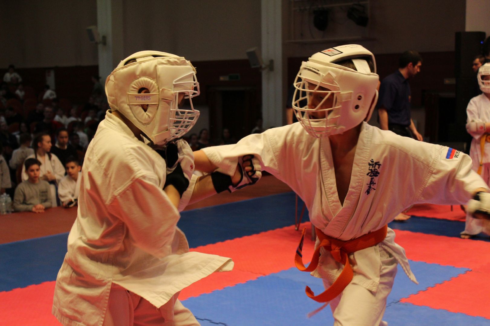 пушкино, карате, дети, призеры, спорт в подмосковье,