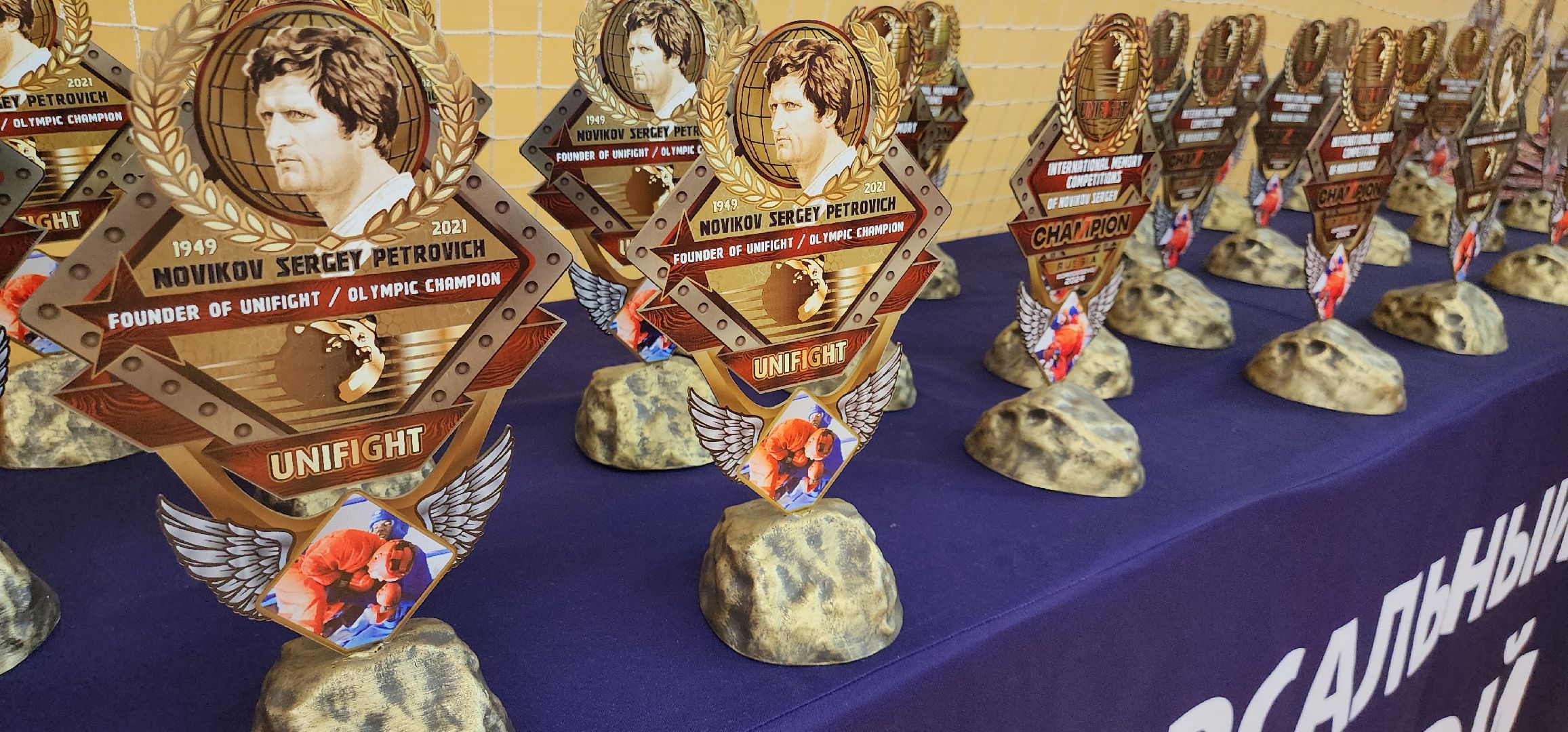 универсальный бой, Авангард, Домодедово,