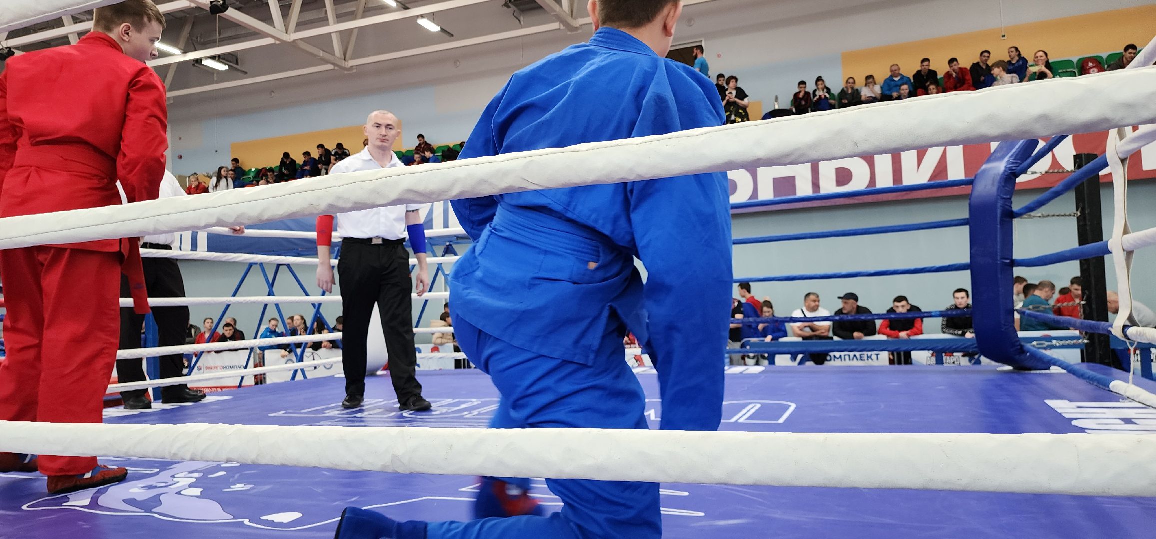 универсальный бой, Авангард, Домодедово,