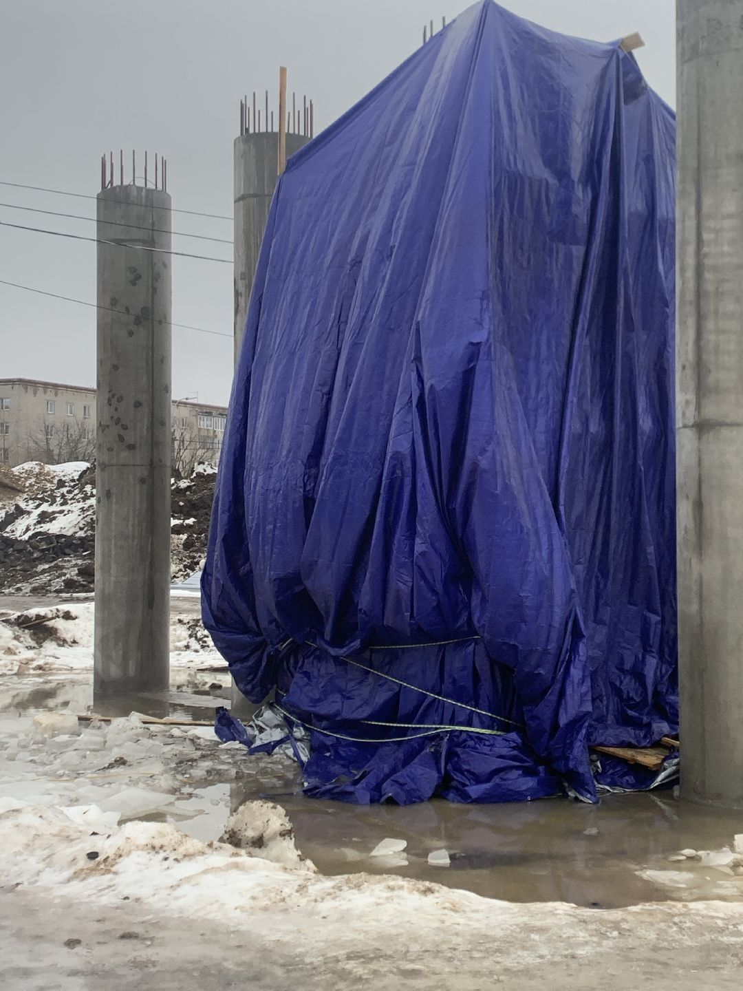 Краснознаменск, общество