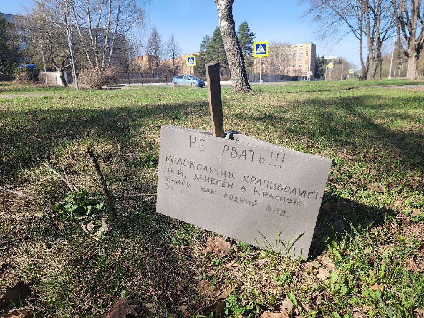 пущино, субботник, уборка города,