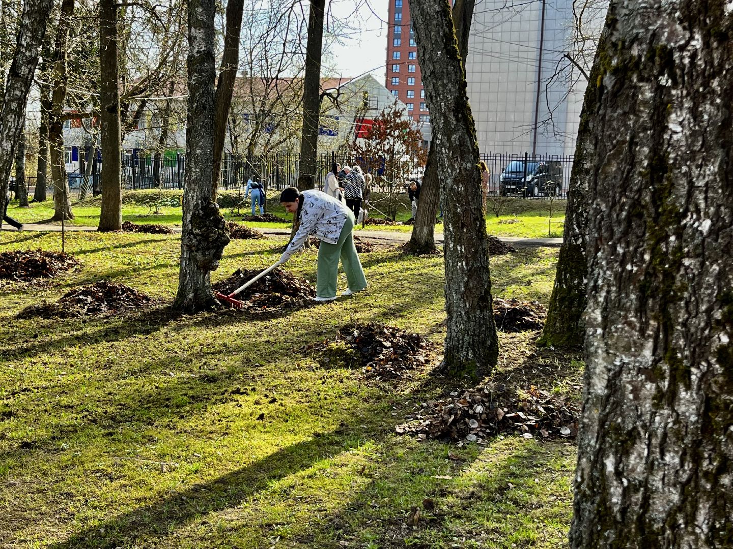 наро-фоминск, бобруйский сквер, субботник, чистое подмосковье,