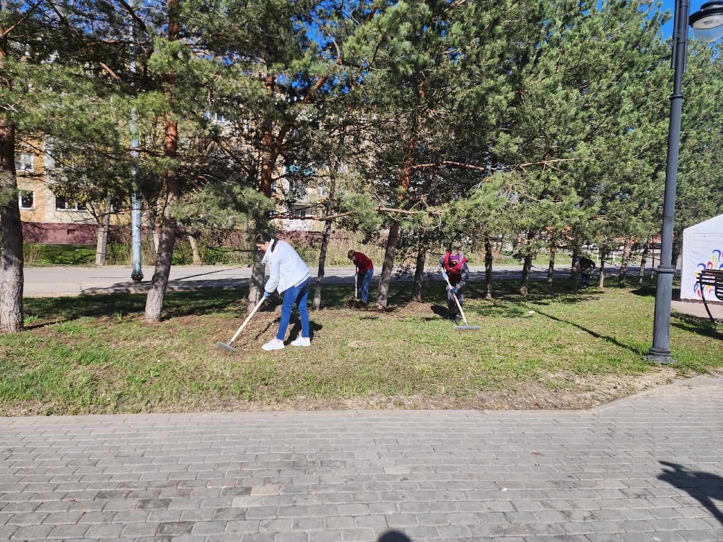 серпухов, подмосковье, субботник, супруга участника СВО,