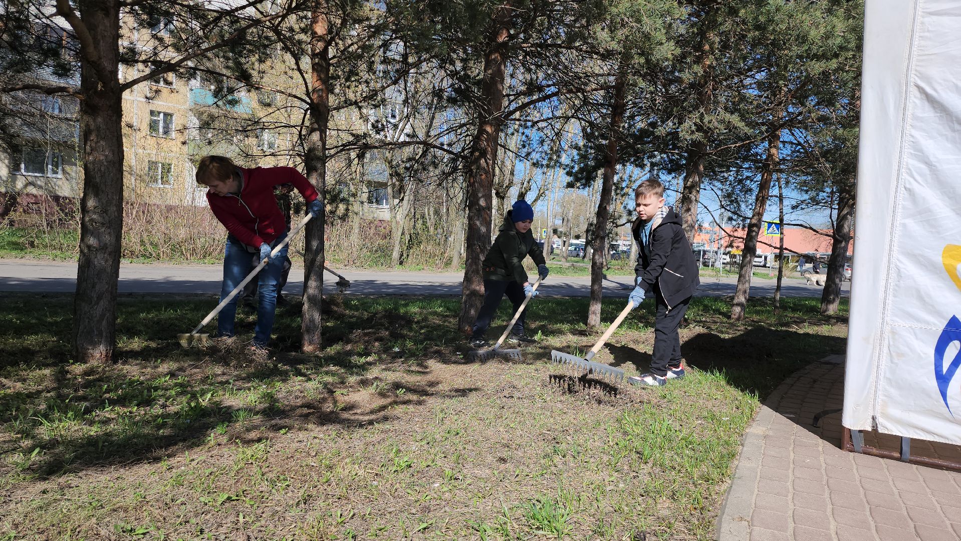серпухов, подмосковье, субботник, супруга участника СВО,