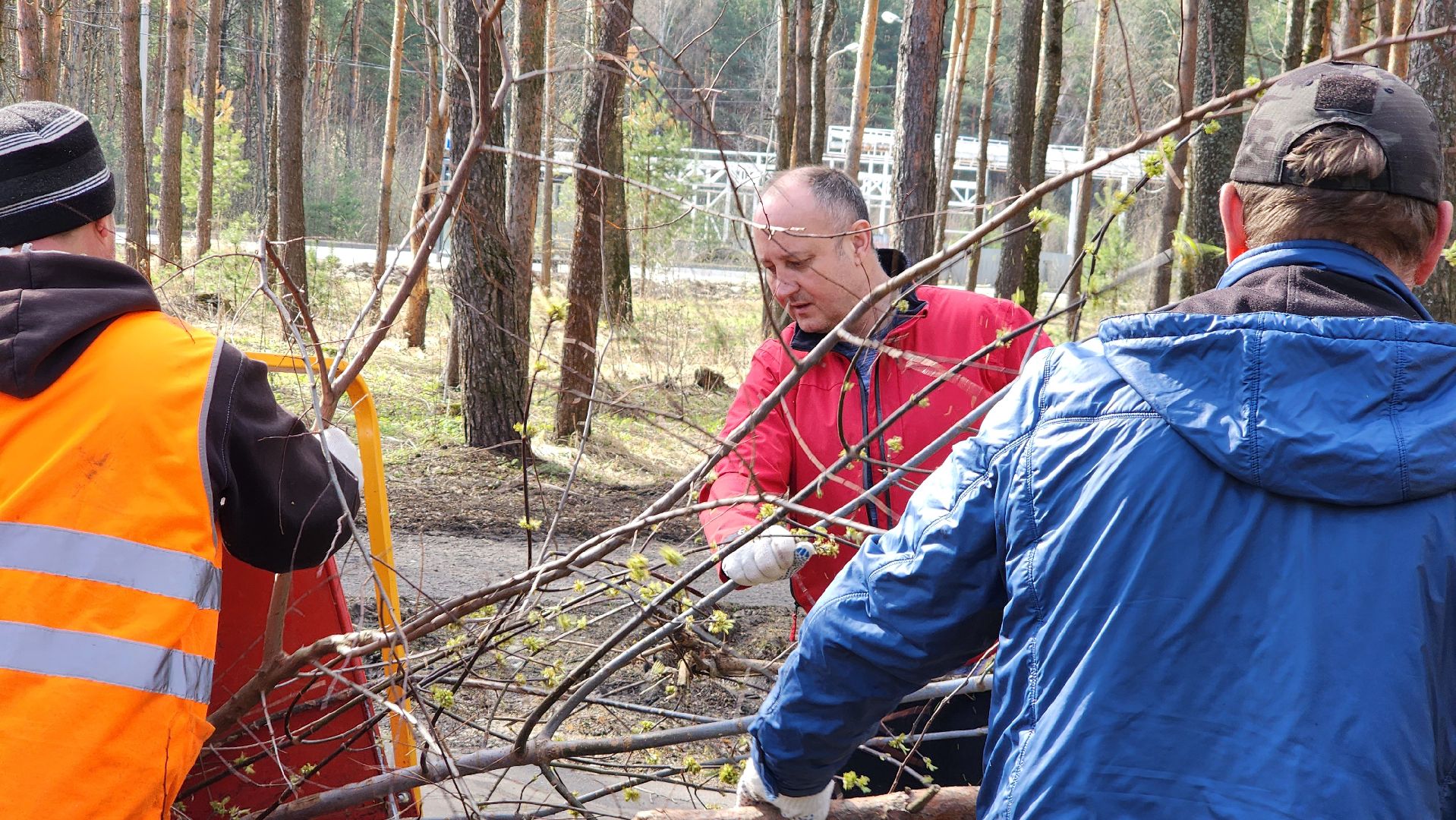 субботник, подмосковье, егорьевск, московская область, акция,