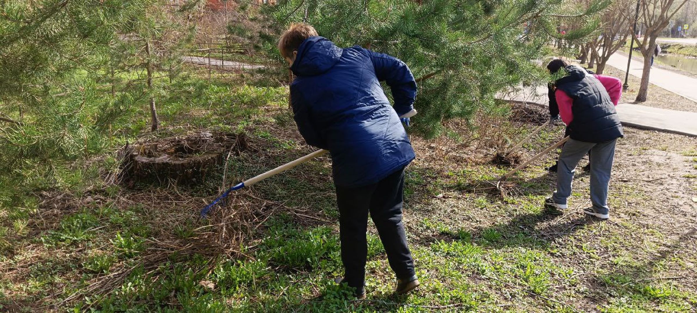 Дмитров, Субботник, Благоустройство,