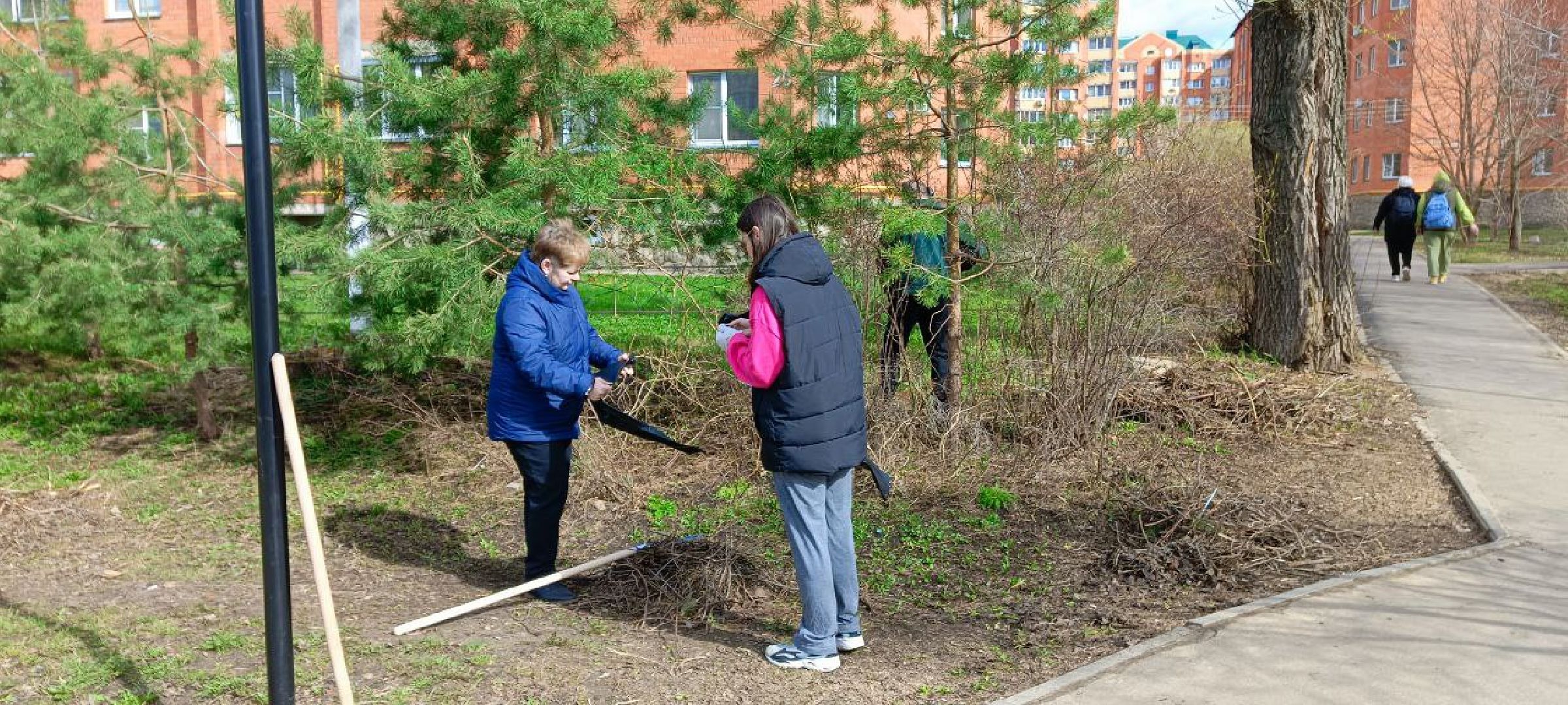 Дмитров, Субботник, Благоустройство,