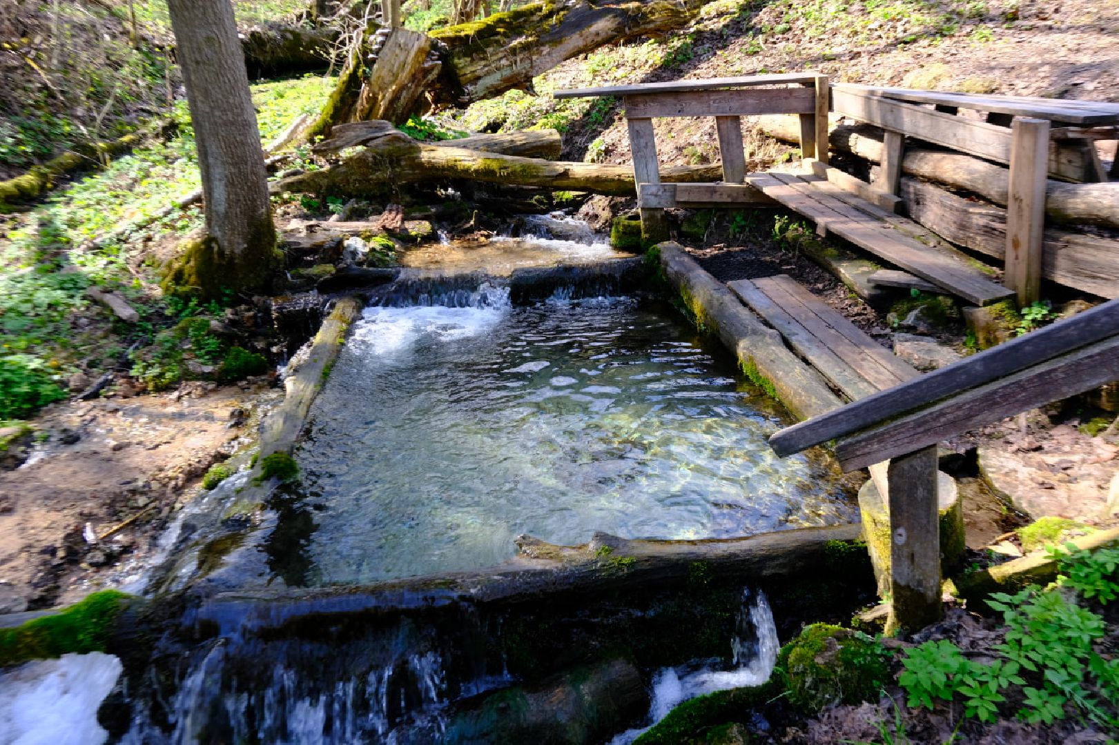 пущино, субботник, экология,