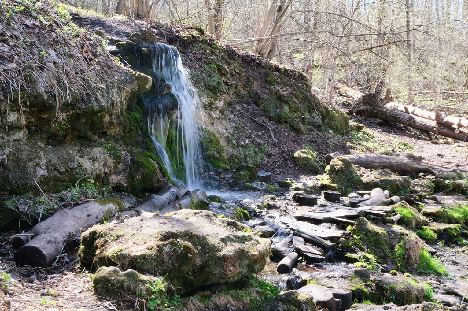 пущино, субботник, экология,