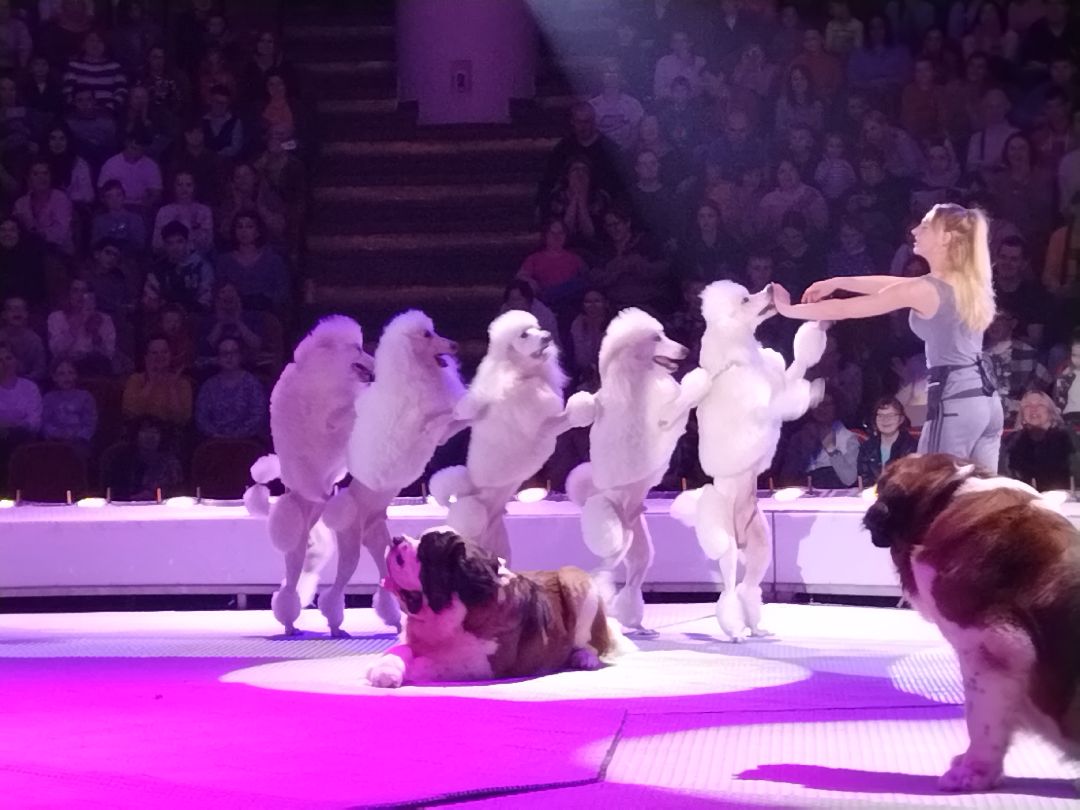 Цирк Никулина, Мытищи, Юрий Никулин