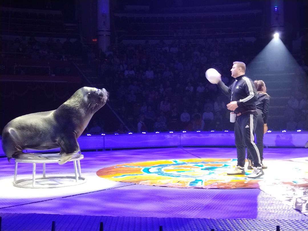 Цирк Никулина, Мытищи, Юрий Никулин