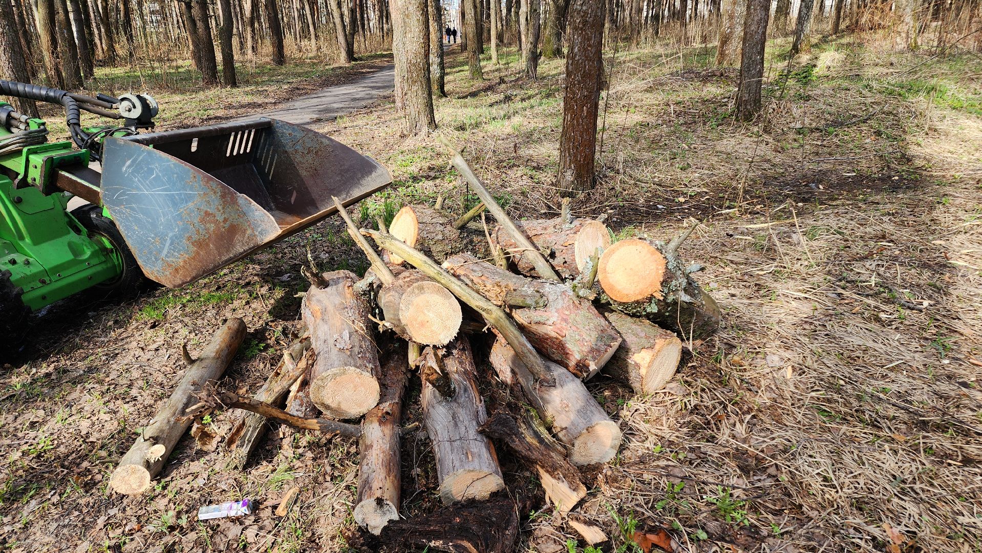 Егорьевск, Подмосковье, Московская область, субботник, акция,