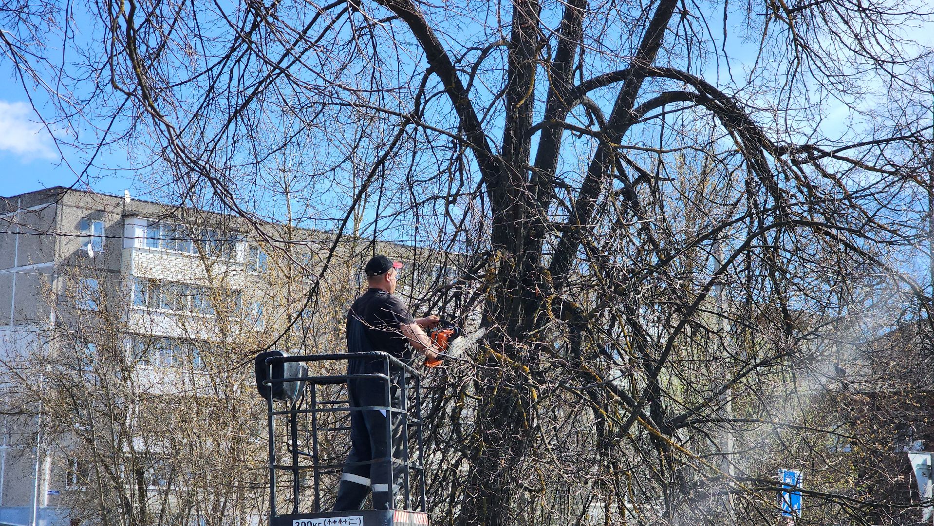 Егорьевск, Подмосковье, Московская область, субботник, акция,