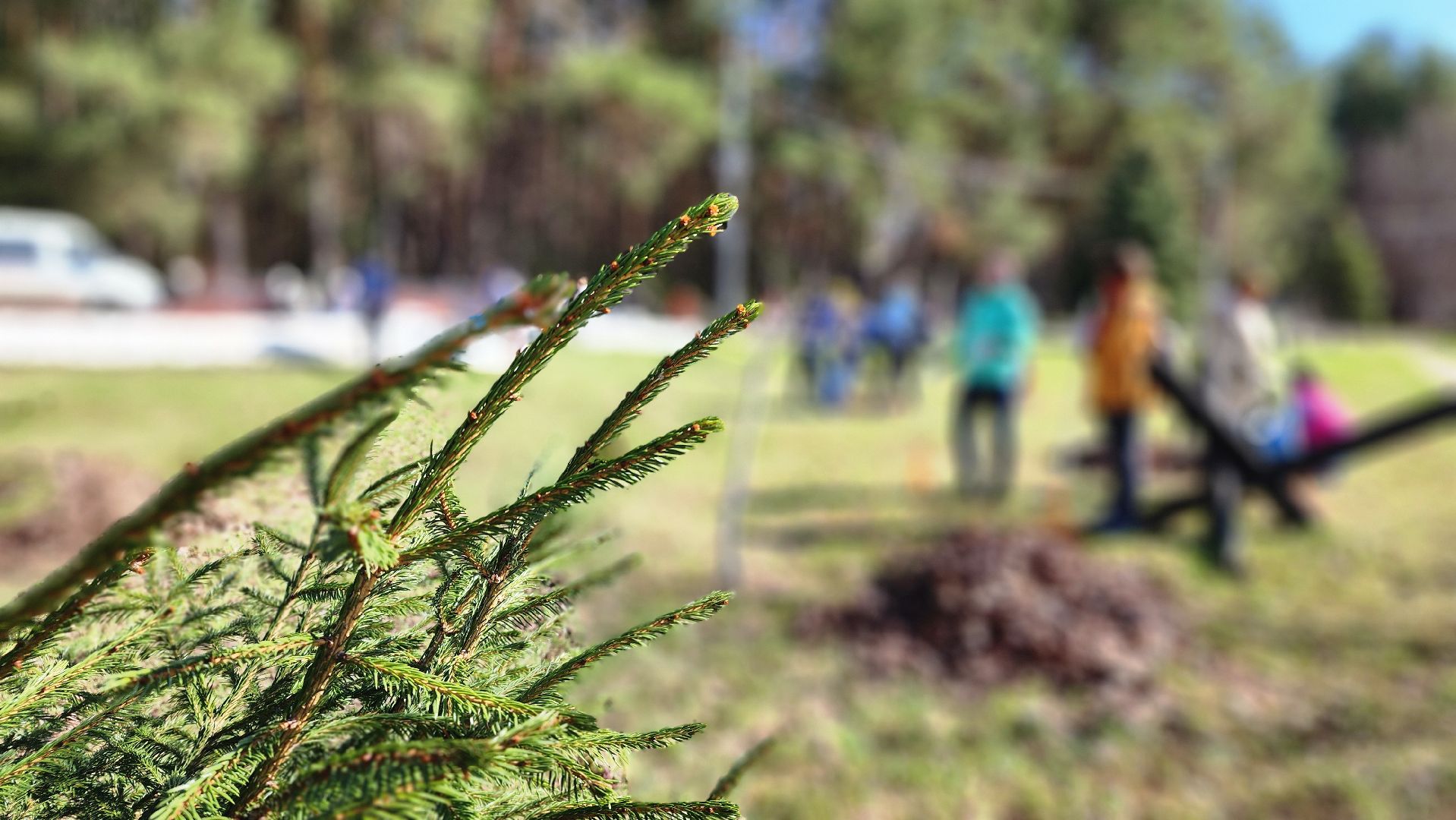 месячник благоустройства, субботник, протвино, мемориал Рубеж обороны, благоустройство,