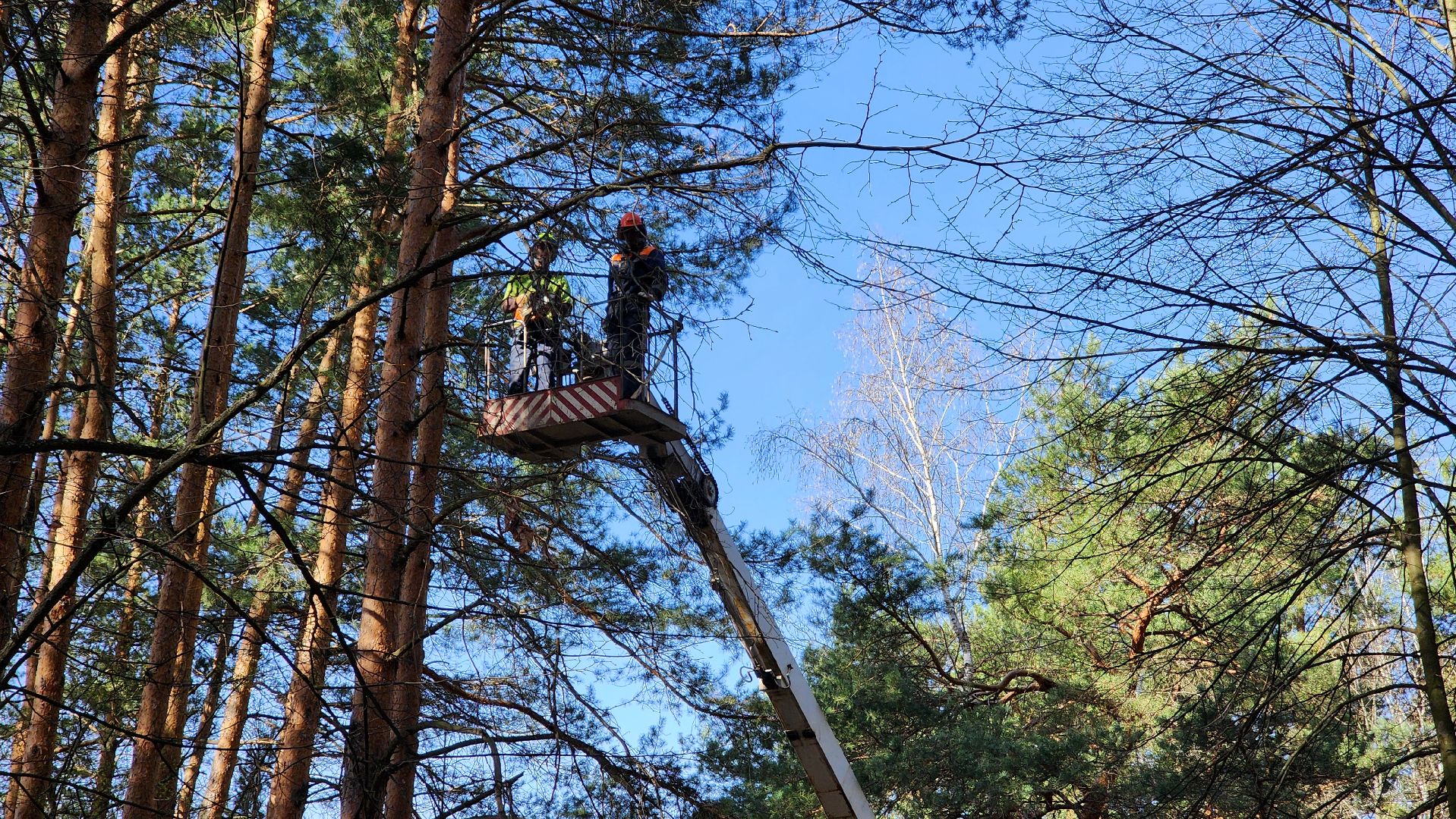 месячник благоустройства, субботник, протвино, мемориал Рубеж обороны, благоустройство,