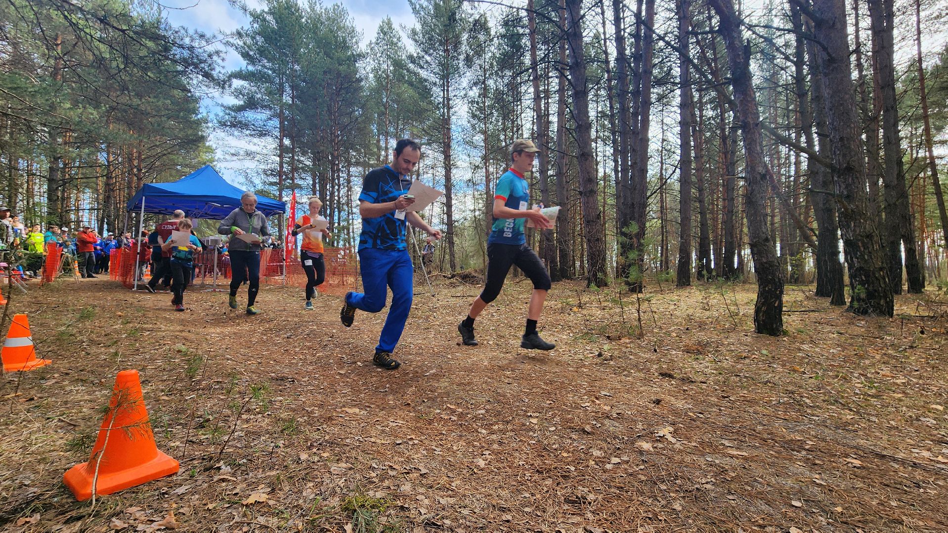 протвинские сосны, спортивное ориентирование, фестиваль, протвино, дюц горизонт, волонтеры подмосковья,