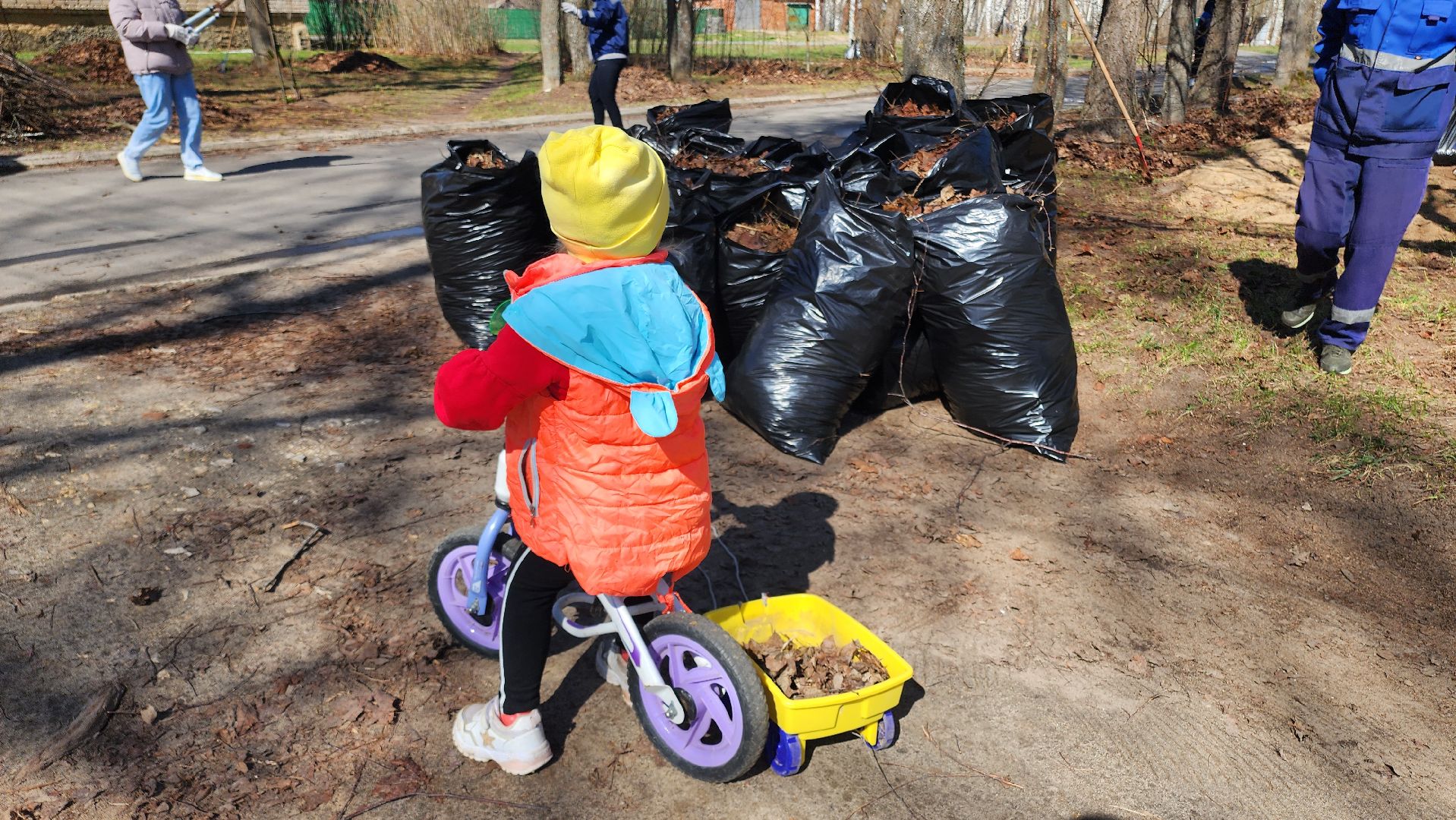 Егорьевск, Подмосковье, Московская область, акция, субботник,