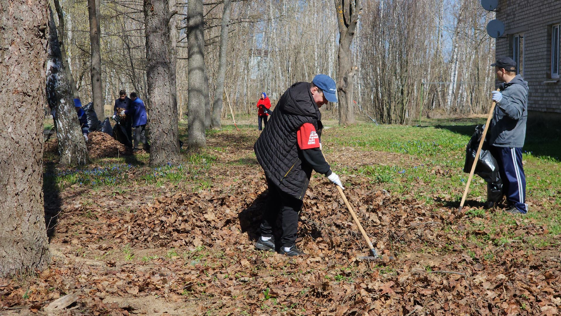 Егорьевск, Подмосковье, Московская область, акция, субботник,