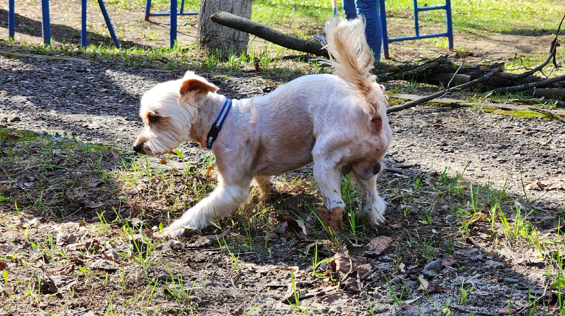 субботник, месяц чистоты и благоустройства, котельники,