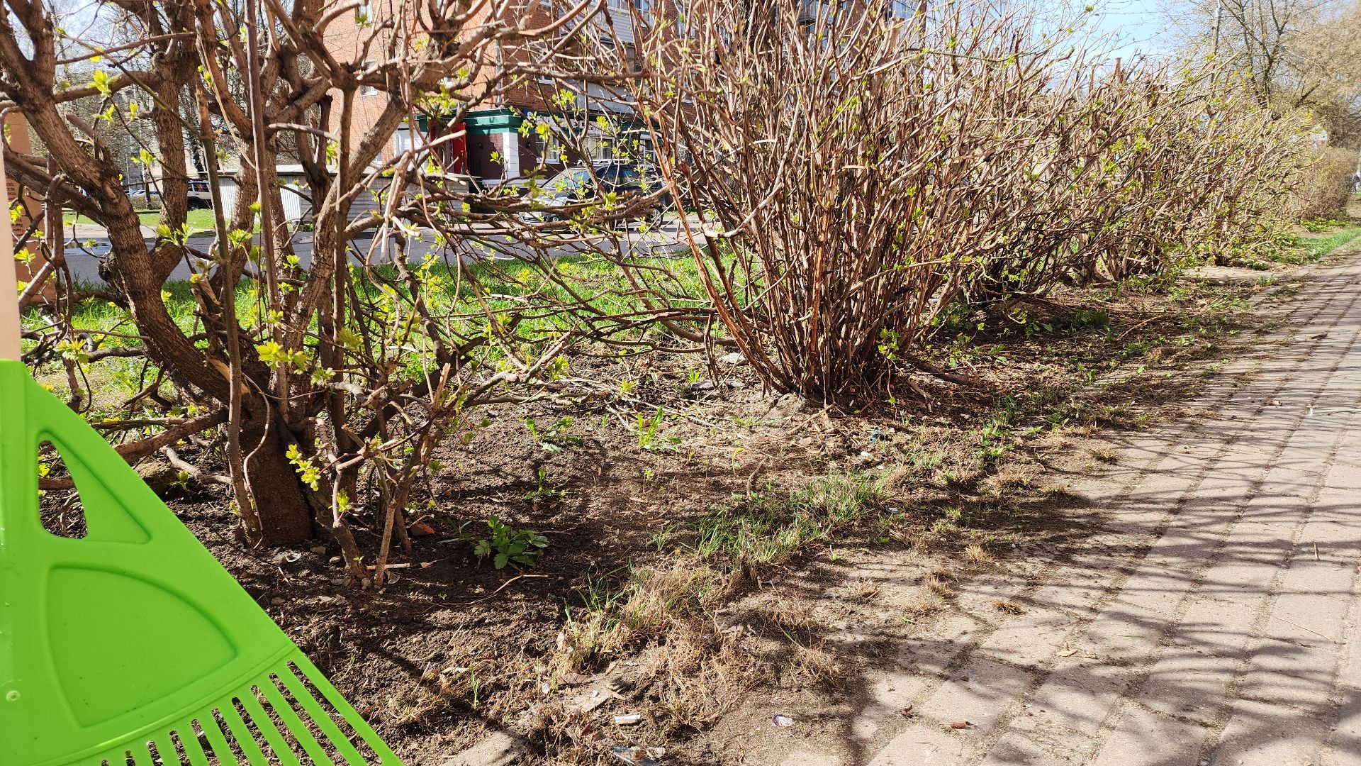 электросталь, мой город, жители города, администрация, администрация города, субботник, субботники, уборка общественных территорий,