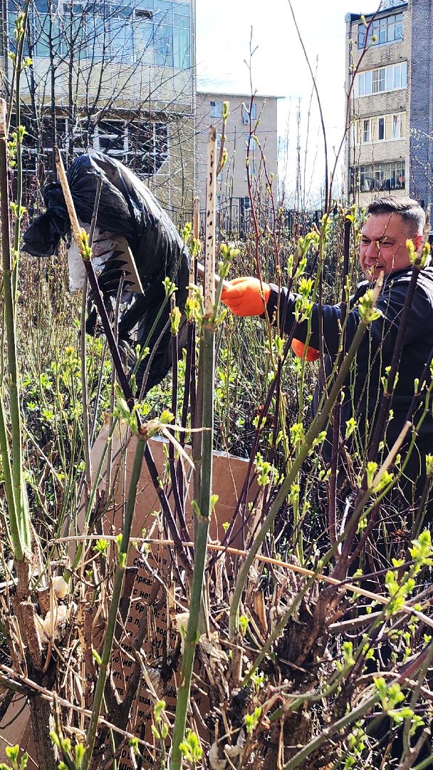 электросталь, мой город, жители города, администрация, администрация города, субботник, субботники, уборка общественных территорий,