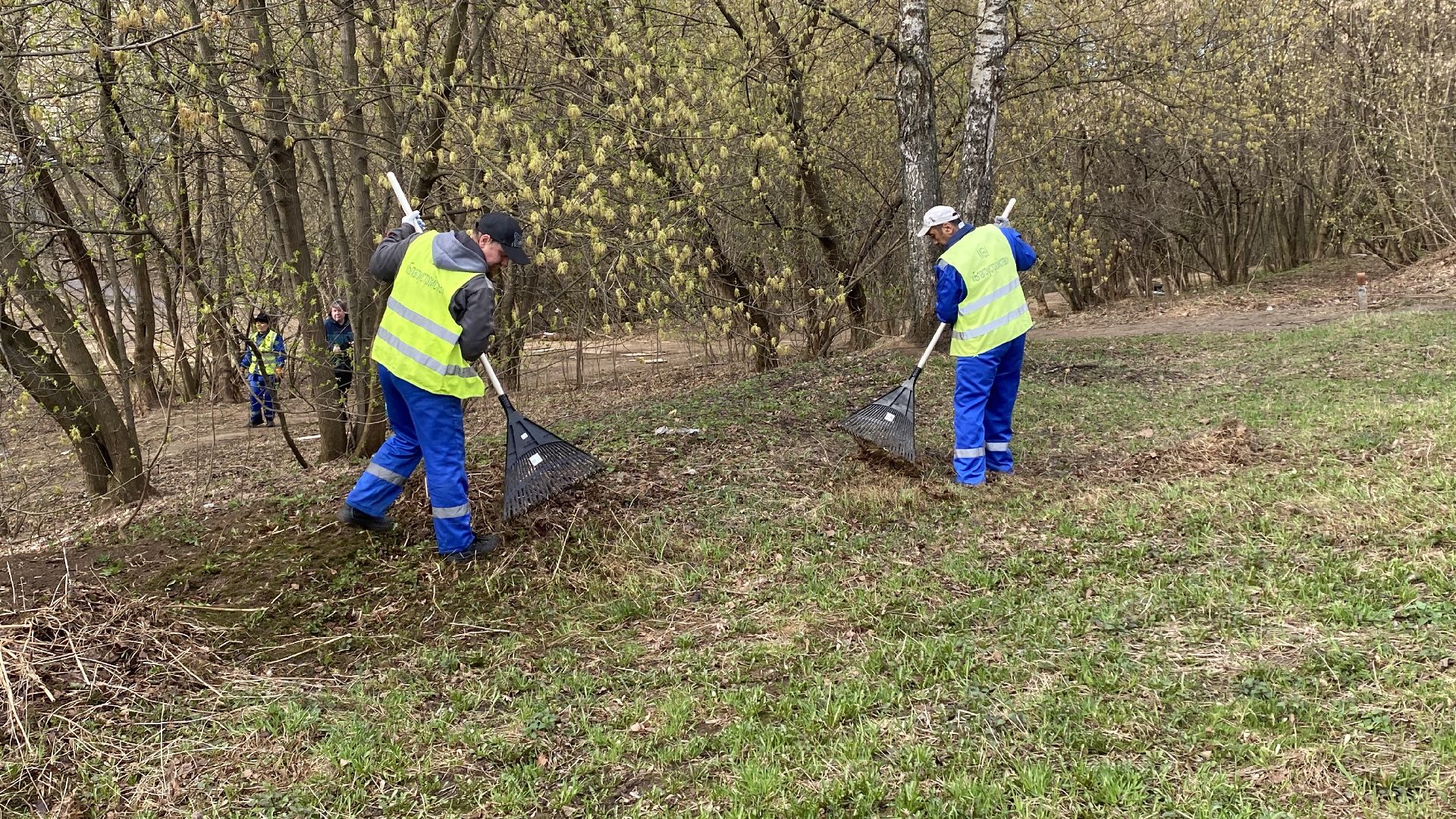 субботник, мбу благоустройство, месяц чистоты и благоустройства, ленинский городской округ, уборка общественных территорий,