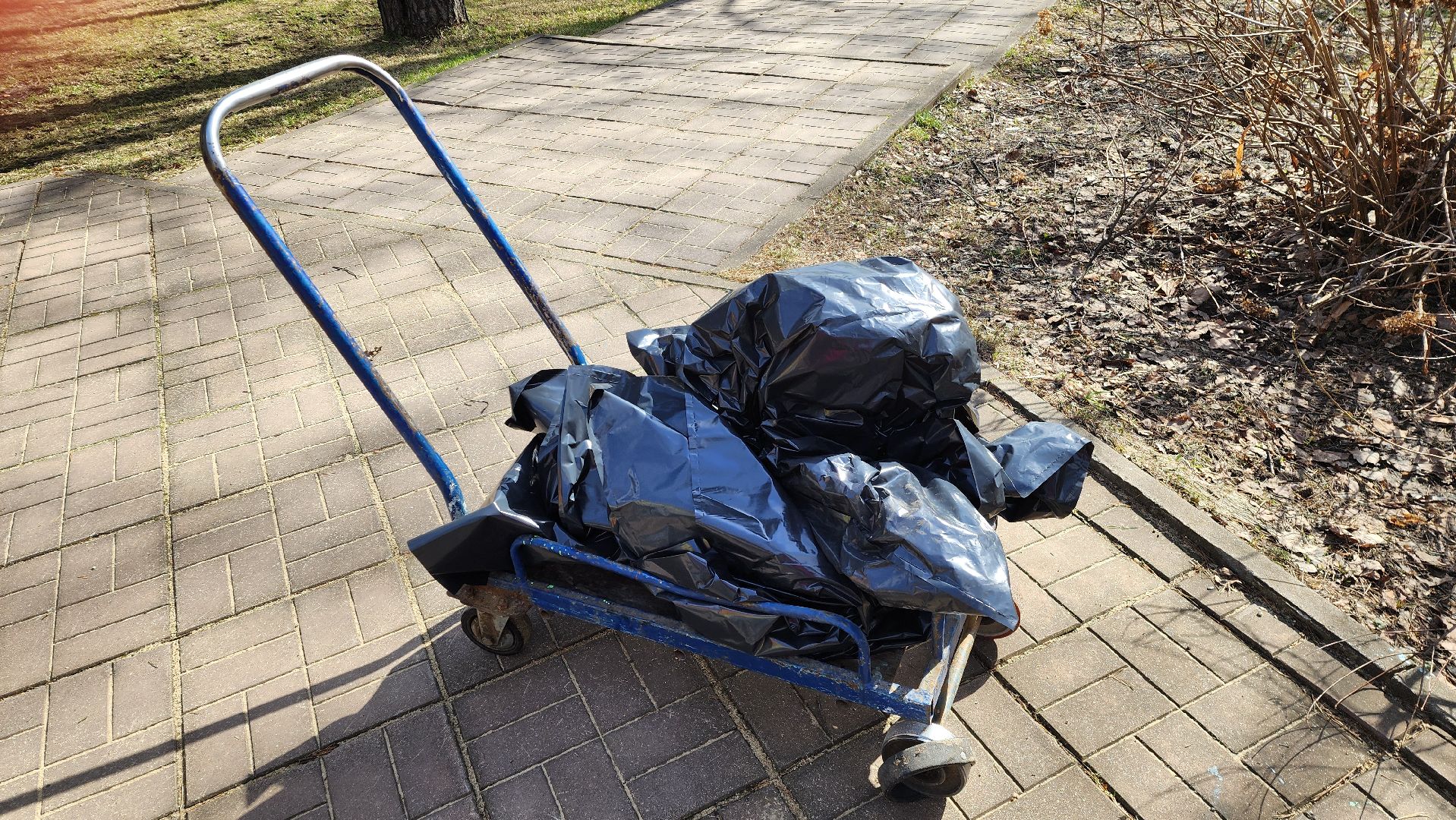 красногорск, субботник, детский городок Сказочный, общество инвалидов, особенные дети,