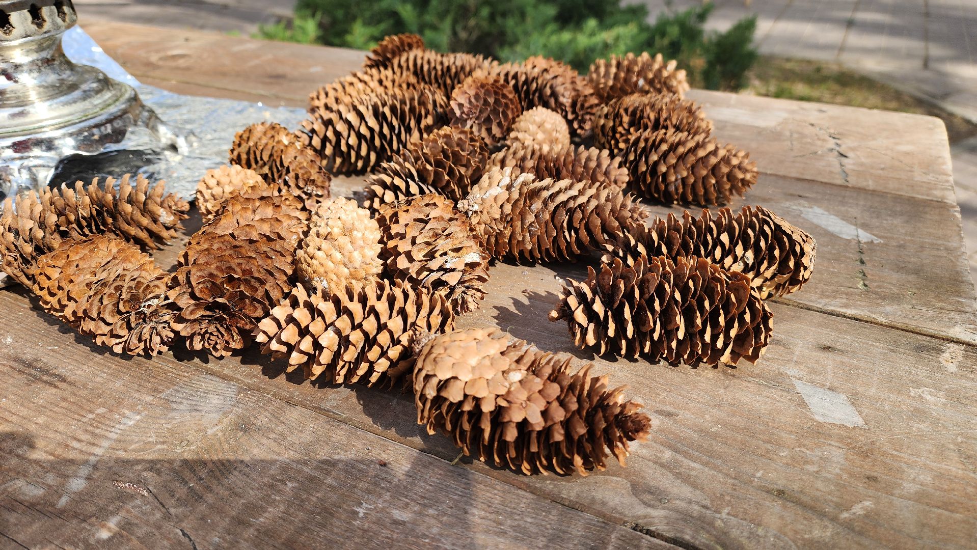 красногорск, детский городок сказочный, парки красногорска, эко-день, субботник,