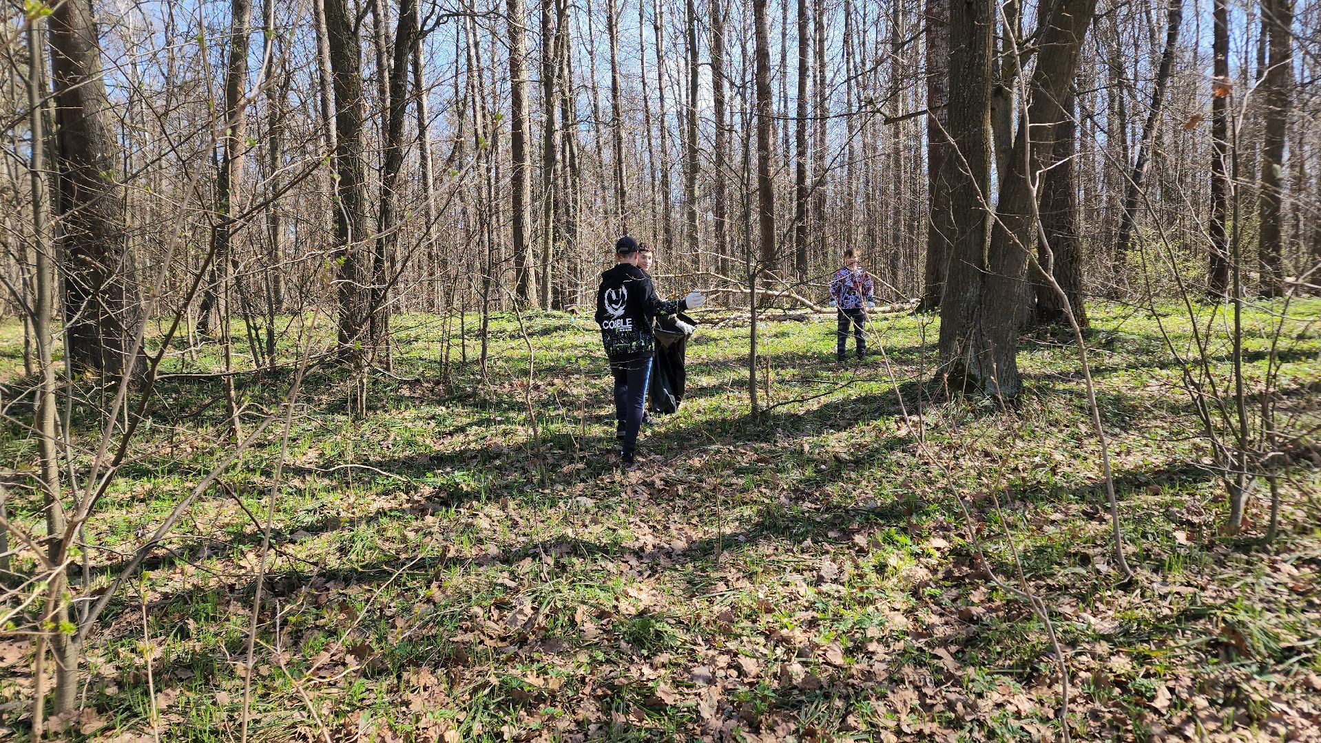 ступино, субботник, муниципальный субботник,