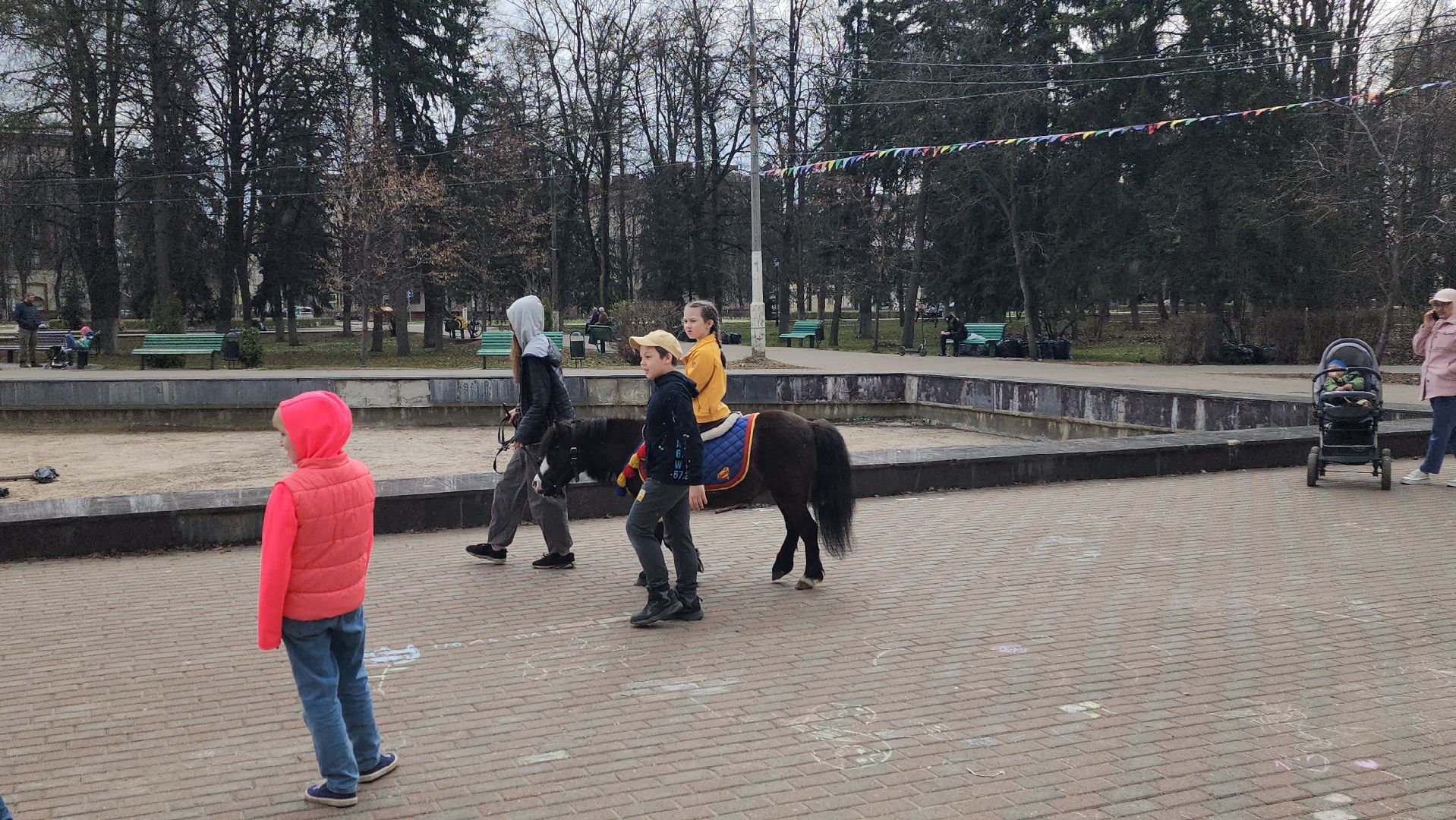 сквер 28 квартал, парк культуры и отдыха Жуковский, Ксения Лилеева, системные мероприятия,