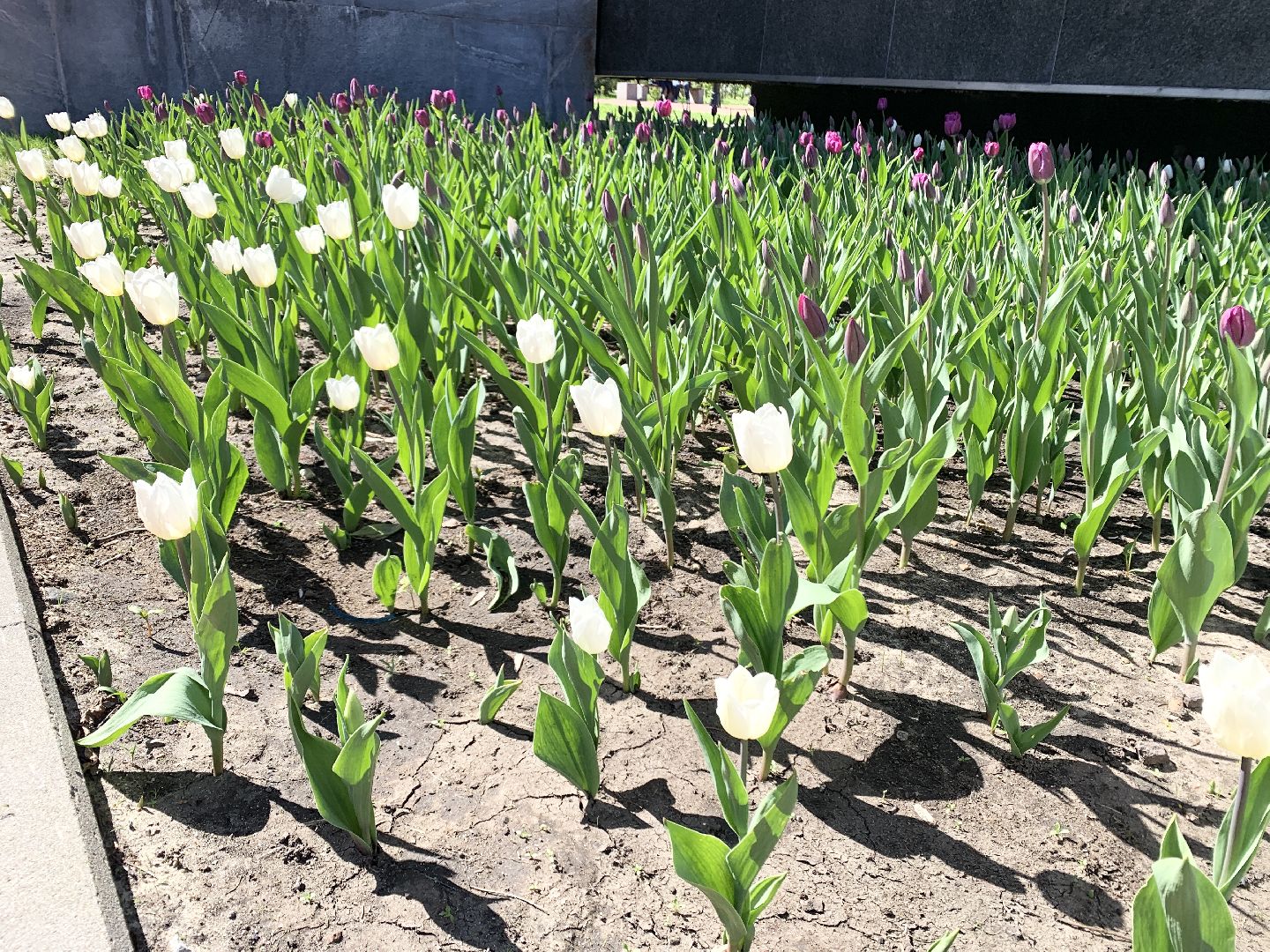 Балашиха, Подмосковье, День Победы, украшение города, Флаги,