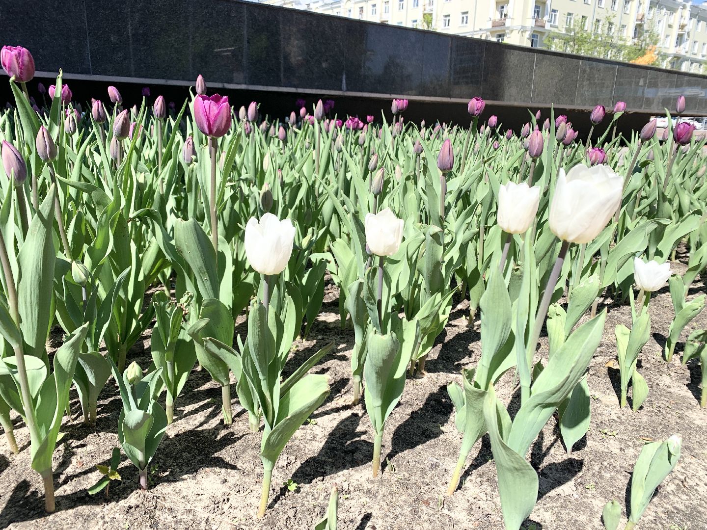 Балашиха, Подмосковье, День Победы, украшение города, Флаги,