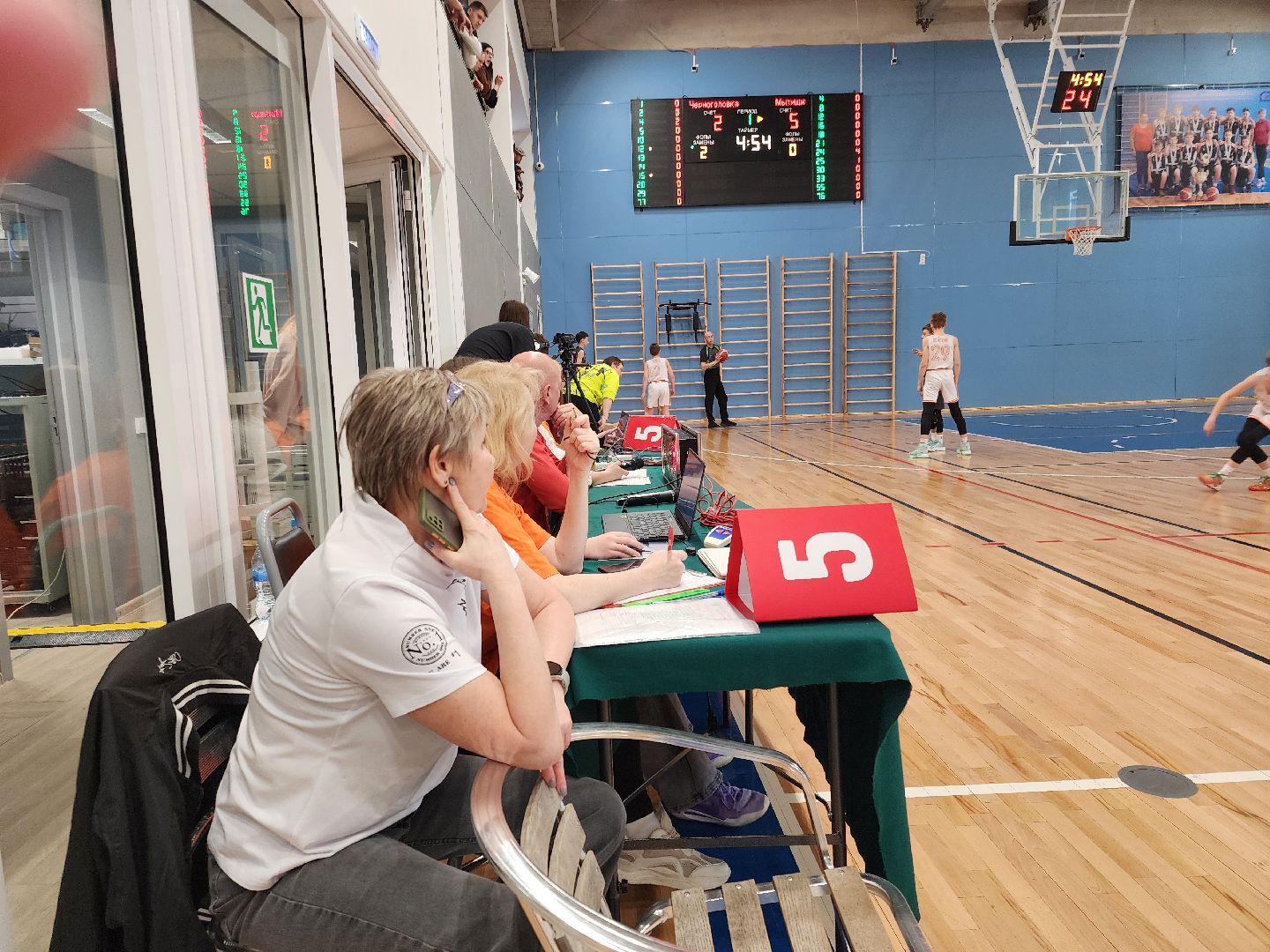 Черноголовка, Лобня, Химки, мытищи, Баскетбол, Минспорта,