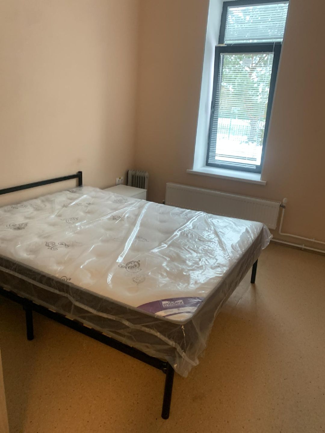 Краснознаменск, общество