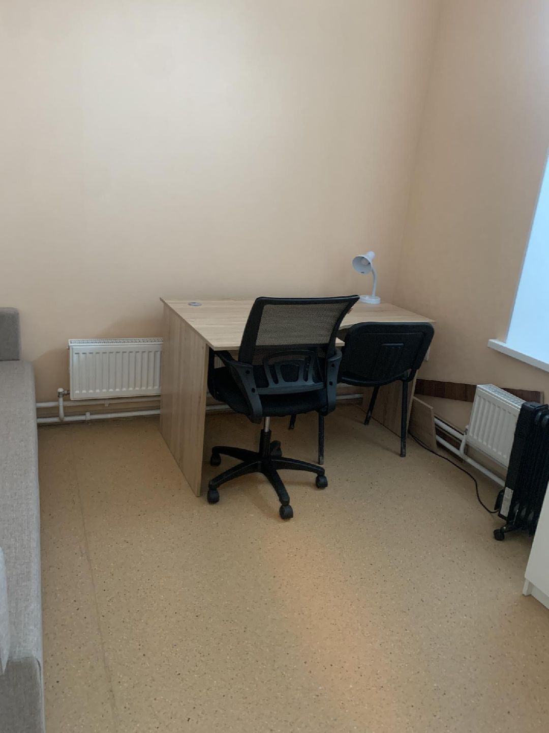 Краснознаменск, общество