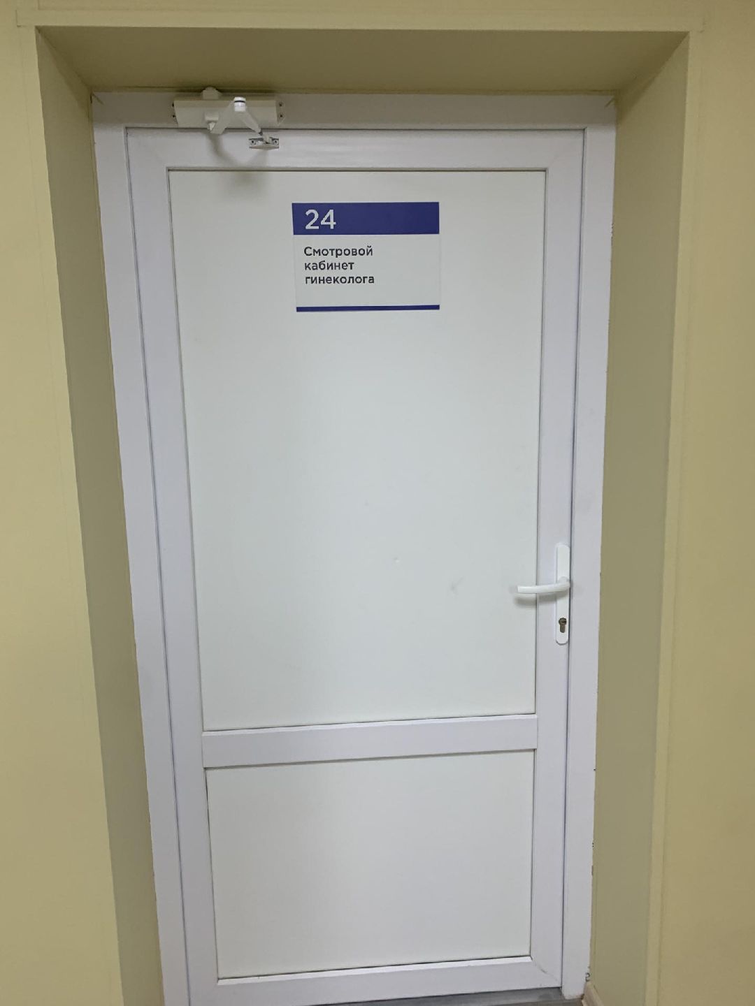 Краснознаменск, общество