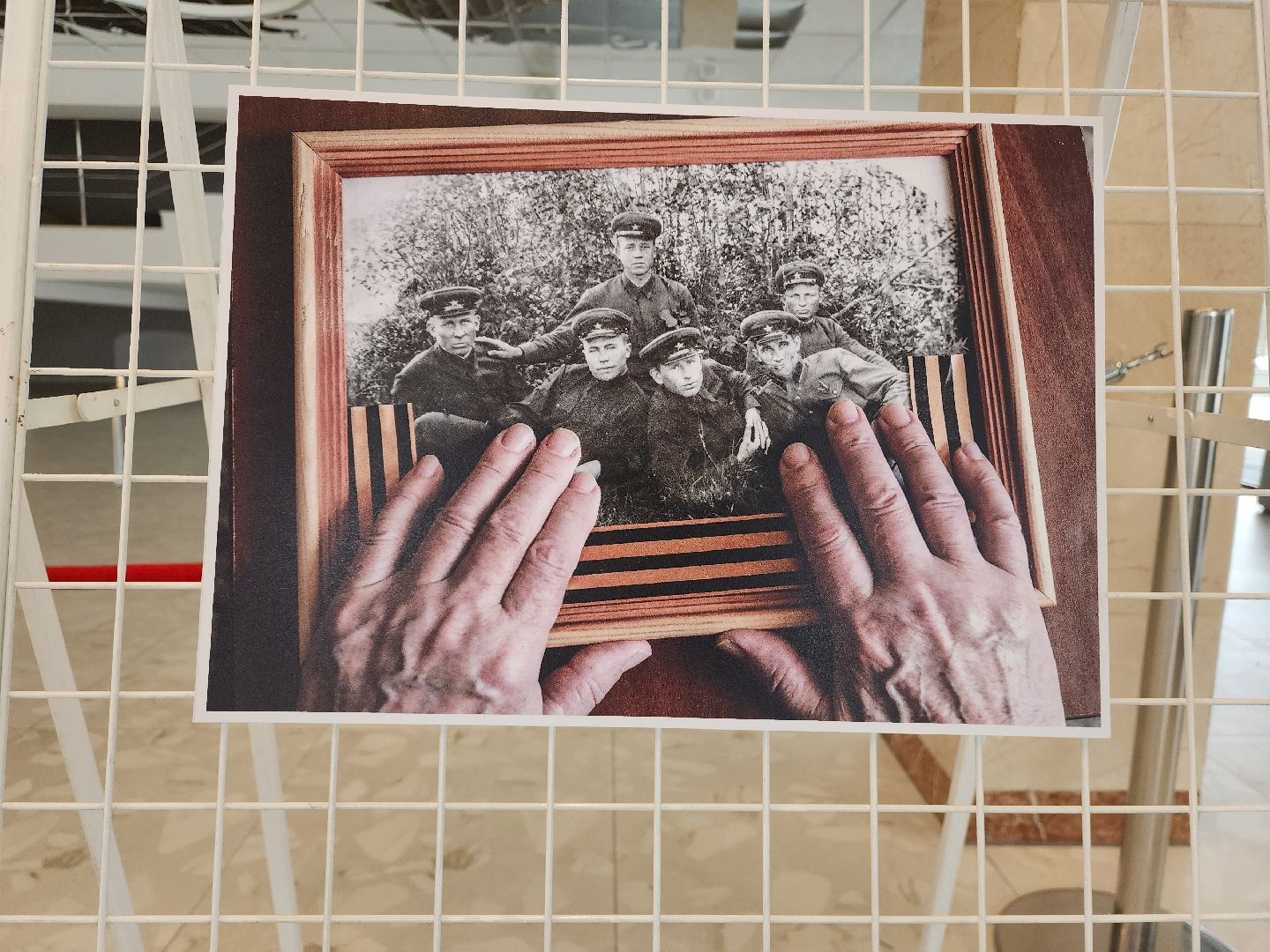 серебряные волонтеры, интернат, пожилые люди, экспозиция, фотовыставка, помощь людям,