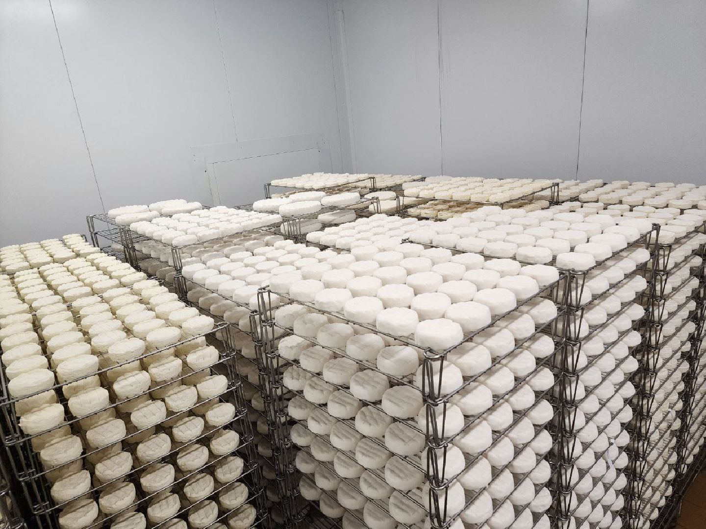 чехов, экономика, сыроварня, импортозамещение, производство,