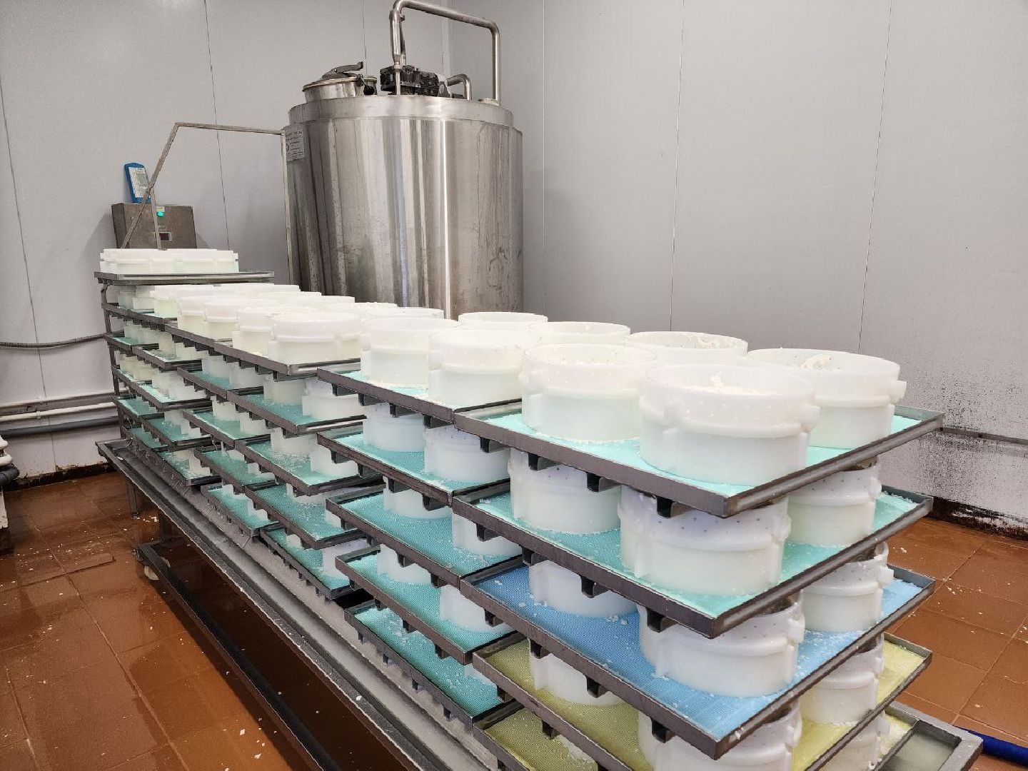 чехов, экономика, сыроварня, импортозамещение, производство,