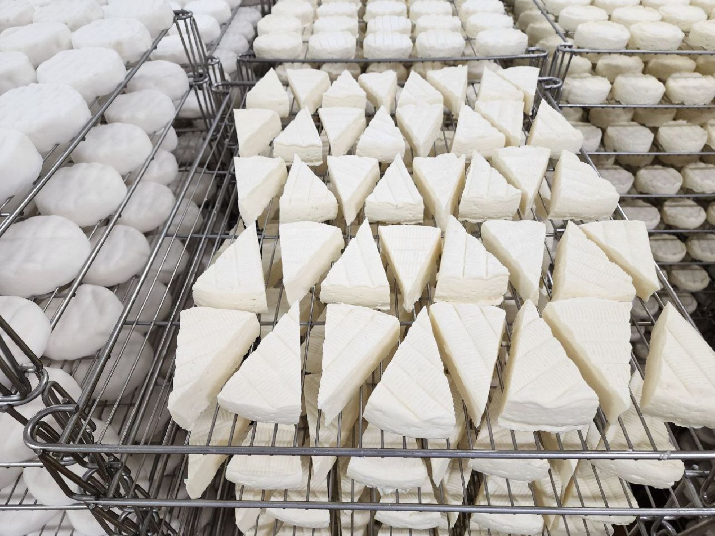 чехов, экономика, сыроварня, импортозамещение, производство,