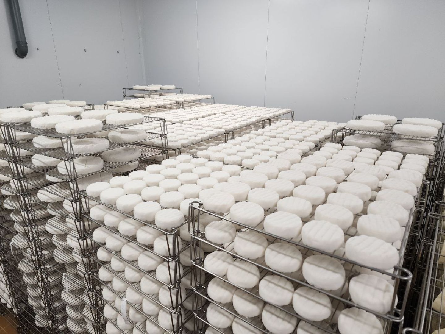 чехов, экономика, сыроварня, импортозамещение, производство,